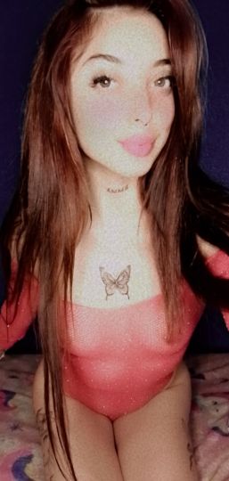 Melody MDZ
