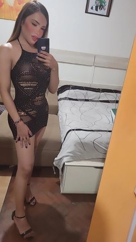 Dani Trans